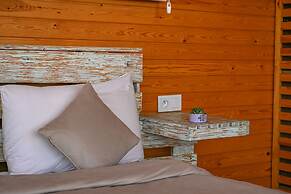 Le Parc des Oliviers