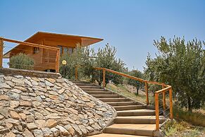 Le Parc des Oliviers