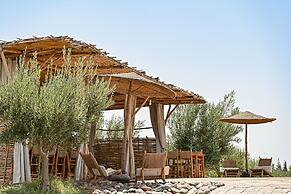 Le Parc des Oliviers