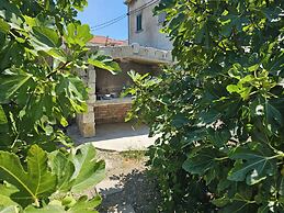 Apartment Antonio, on the Seafront With Garden