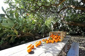 Tenuta busulmone Noto villa e piscina