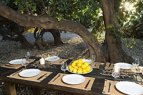 Tenuta busulmone Noto villa e piscina