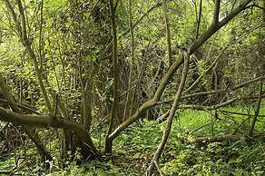 Tenuta busulmone Noto villa e piscina