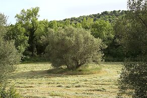 Tenuta busulmone Noto villa e piscina