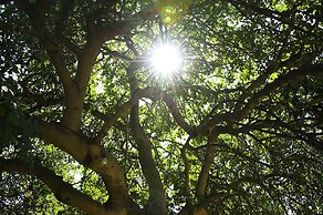 Tenuta busulmone Noto villa e piscina