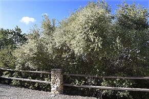 Tenuta busulmone Noto villa e piscina