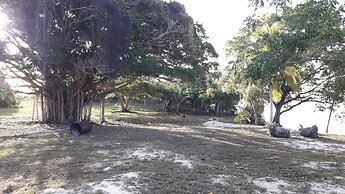 PARADISE CREEK COTTAGES