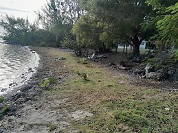 PARADISE CREEK COTTAGES