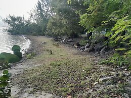 PARADISE CREEK COTTAGES