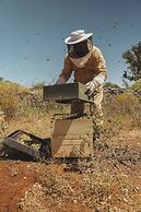 Viceroy At Ombria Algarve
