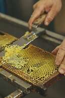 Viceroy At Ombria Algarve