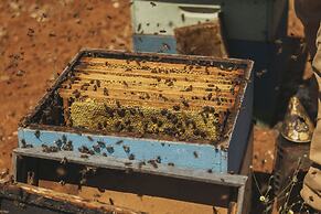 Viceroy At Ombria Algarve