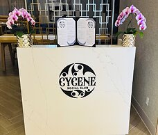 Candlewood Suites Burlington Conference Centre by IHG