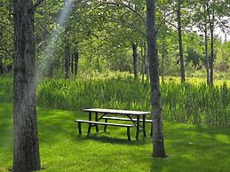 Le Héron - Studios Nature