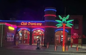 Family Caravan-pets-golden Palm-pool-arcades