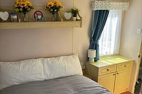 Family Caravan-pets-golden Palm-pool-arcades