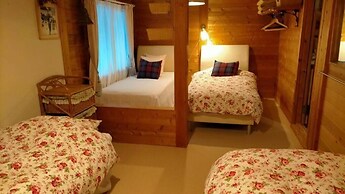 Pension Snowfall Meteor