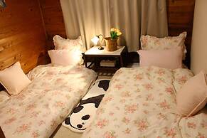 Pension Snowfall Meteor