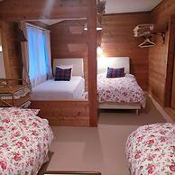 Pension Snowfall Meteor