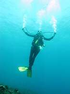 ABWonderdive Beach Resort