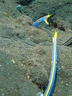 ABWonderdive Beach Resort