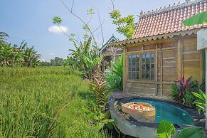 Abian Ubud View