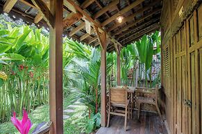 Abian Ubud View