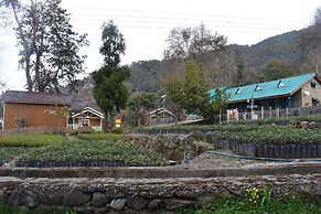 Forest Rest House Bir