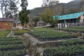 Forest Rest House Bir