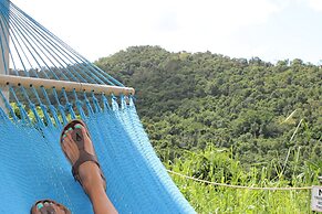 The Serene House Bed & Breakfast