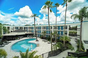 OASIS BAY SUITES, Tampa, Busch Gardens, USF