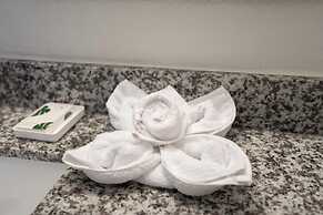 OASIS BAY SUITES, Tampa, Busch Gardens, USF