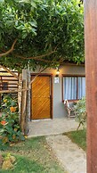 Kite Eco House