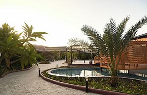 Wild Calm, Sasan Gir
