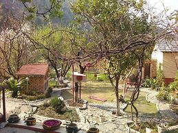 Jamwal Villa Homestay Himachal Pradesh