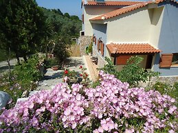 Traditional Villa Gardenia in Skiathos