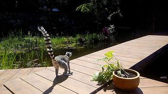 Kaiserlounge Harald Astner Ebbs