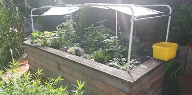 Kaiserlounge Harald Astner Ebbs