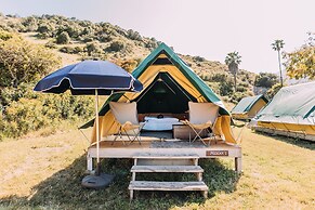 White s Landing Catalina Camp