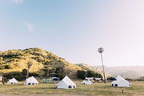 White s Landing Catalina Camp