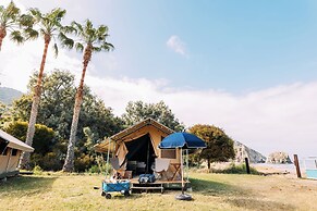 White s Landing Catalina Camp