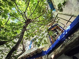 Casas rurales la Tejeruela