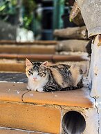 Casas rurales la Tejeruela