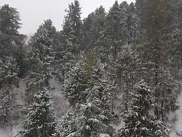 The Mōcana Himalayas, Shimla