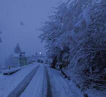 Ride Inn Cafe and Resort