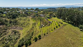 Awaawa Yurts - Combined 3 Yurt Package