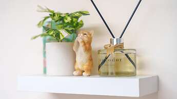 Taean Minoseu Pet Pension