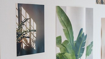 Taean Minoseu Pet Pension