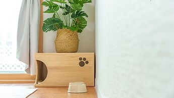 Taean Minoseu Pet Pension