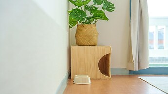 Taean Minoseu Pet Pension